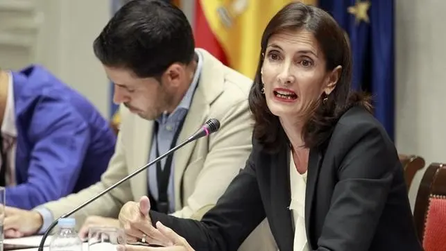 Mar&iacute;a Teresa Lorenzo en Comisi&oacute;n Parlamentaria