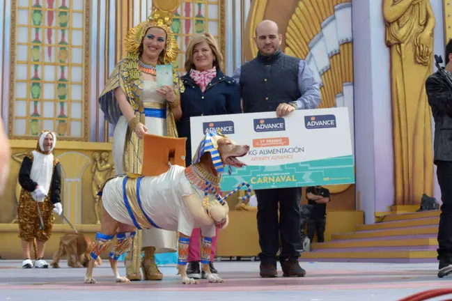 Ganador del Concurso del Carnaval Canino