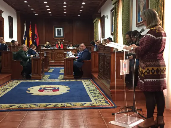 PLENO DE TELDE_8 DE ABRIL DE 2016