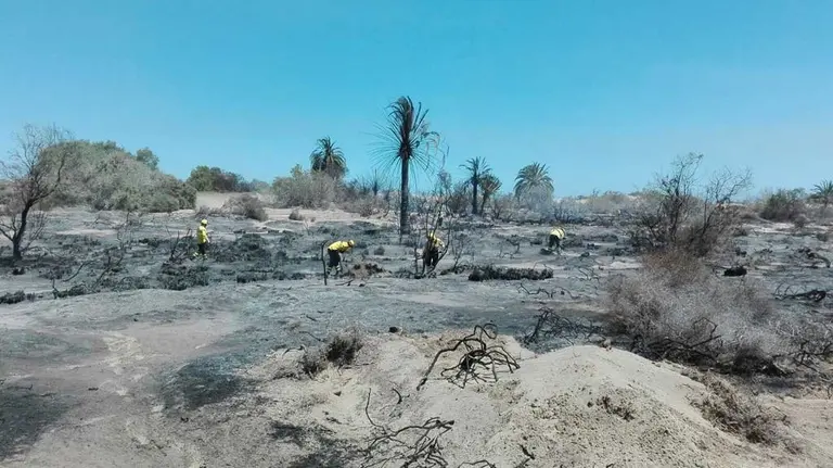 incendio dunas1