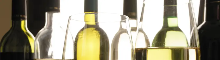 cabecera-vino