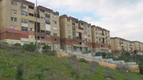 Valle de Jin&aacute;mar