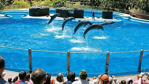 Palmitos Park