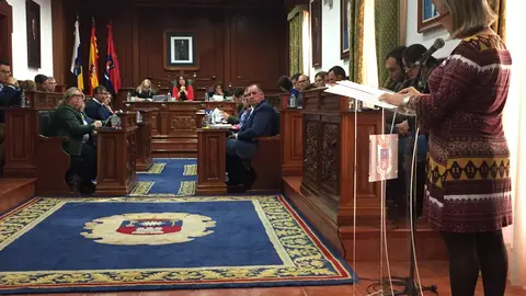PLENO DE TELDE_8 DE ABRIL DE 2016