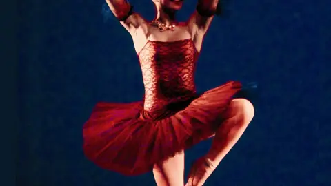 CARTEL_D&Iacute;A INTERNACIONAL DE LA DANZA