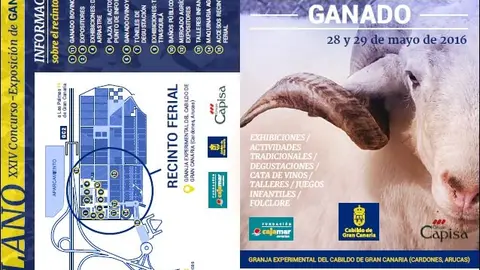 Feria ganado