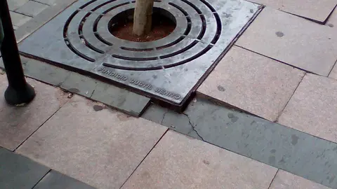TRABAJOS EN SAN GREGORIO