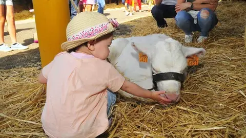 Feria 1
